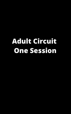 Adult Circuit Class