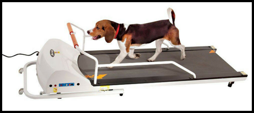 getting the most out of treadmill workouts